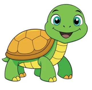 Tortoise